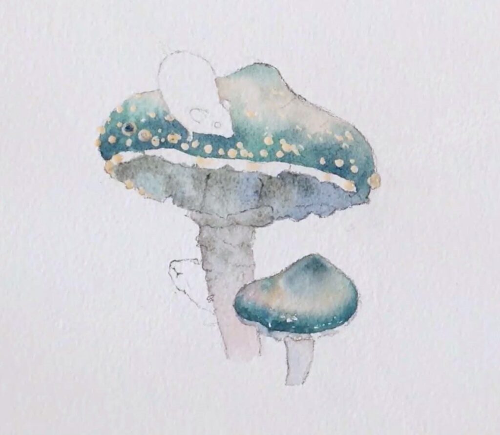 mushroom watercolor