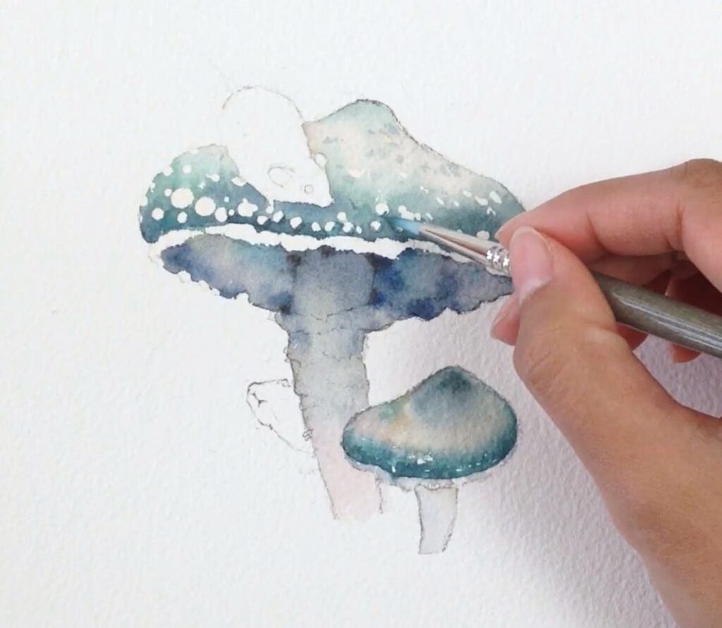 mushroom watercolor