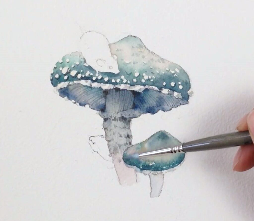 mushroom watercolor