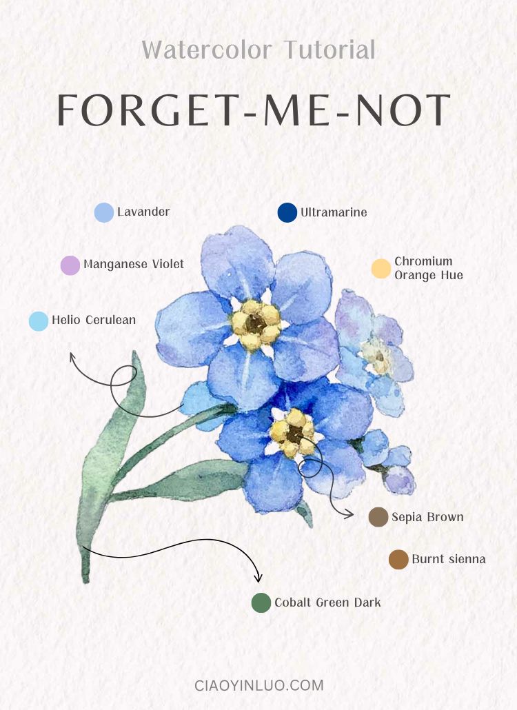 如何畫勿忘我花：分步驟簡單水彩教學