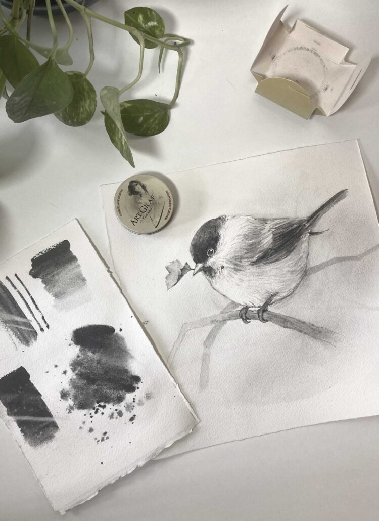 How to Use Graphite Watercolor: ArtGraf’s Unique Medium