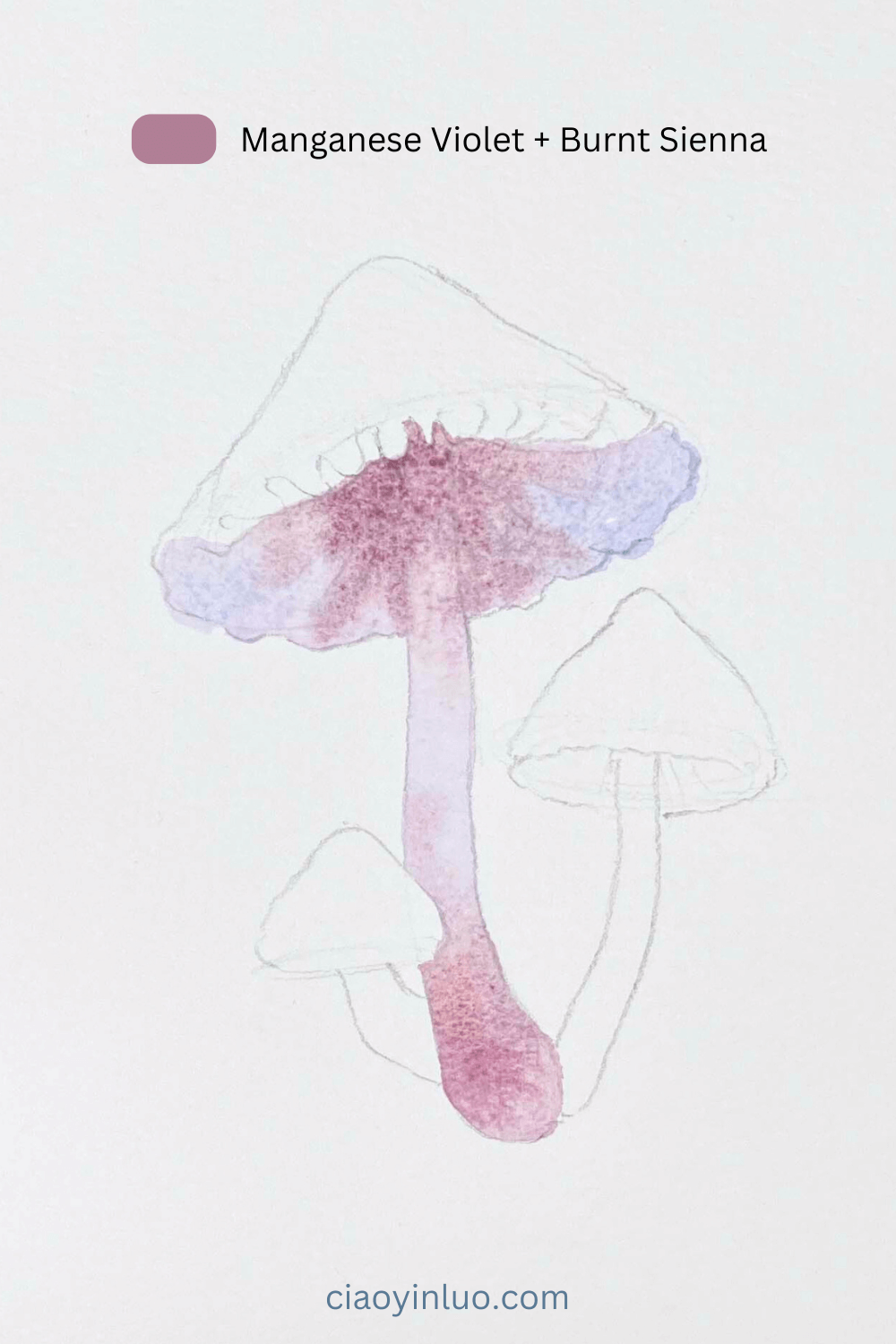 mushroom2