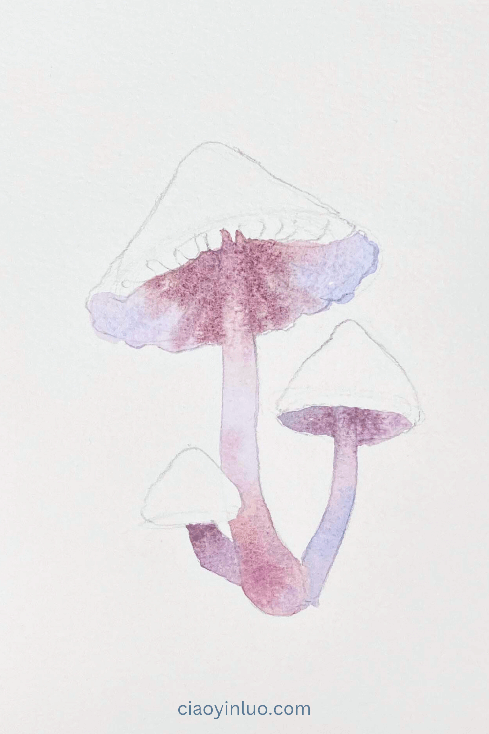 mushroom3