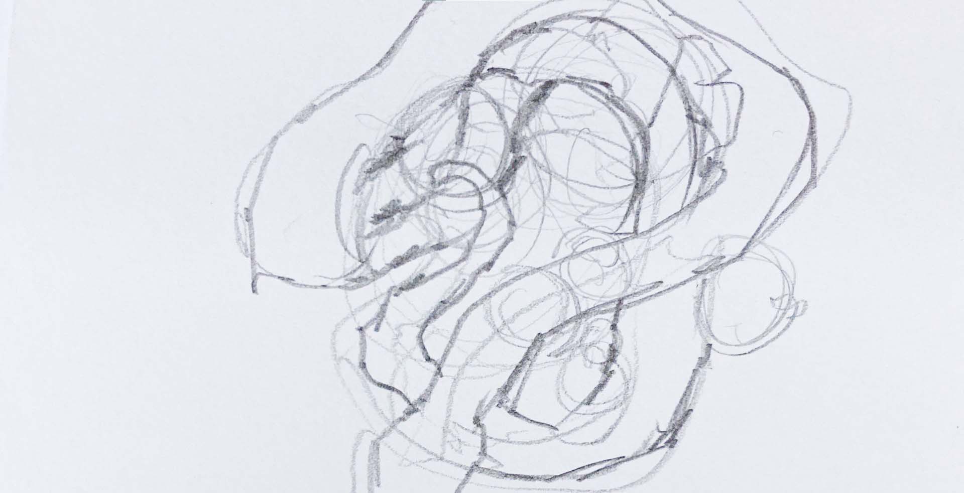 snake sketch