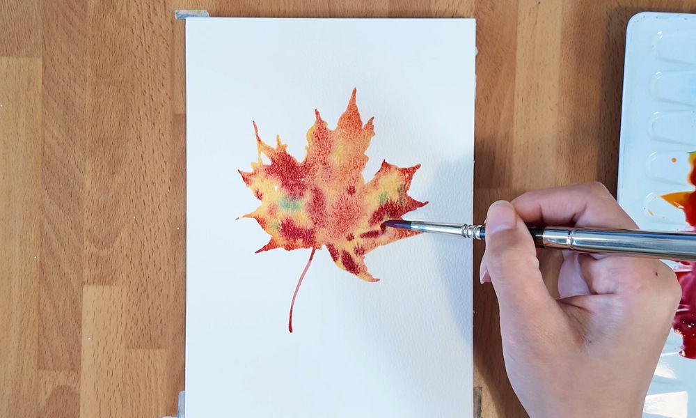 Maple leaf