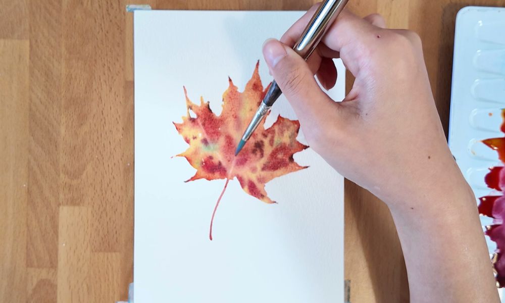 Maple leaf
