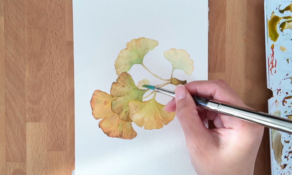 watercolor Ginkgo Leaf