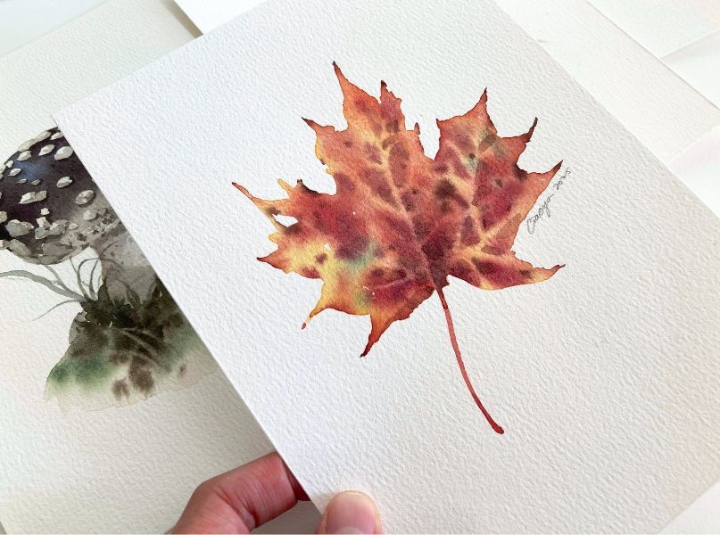 Maple leaf watercolor